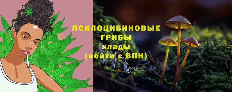 Псилоцибиновые грибы GOLDEN TEACHER  ОМГ ОМГ ТОР  Зима  как найти закладки 